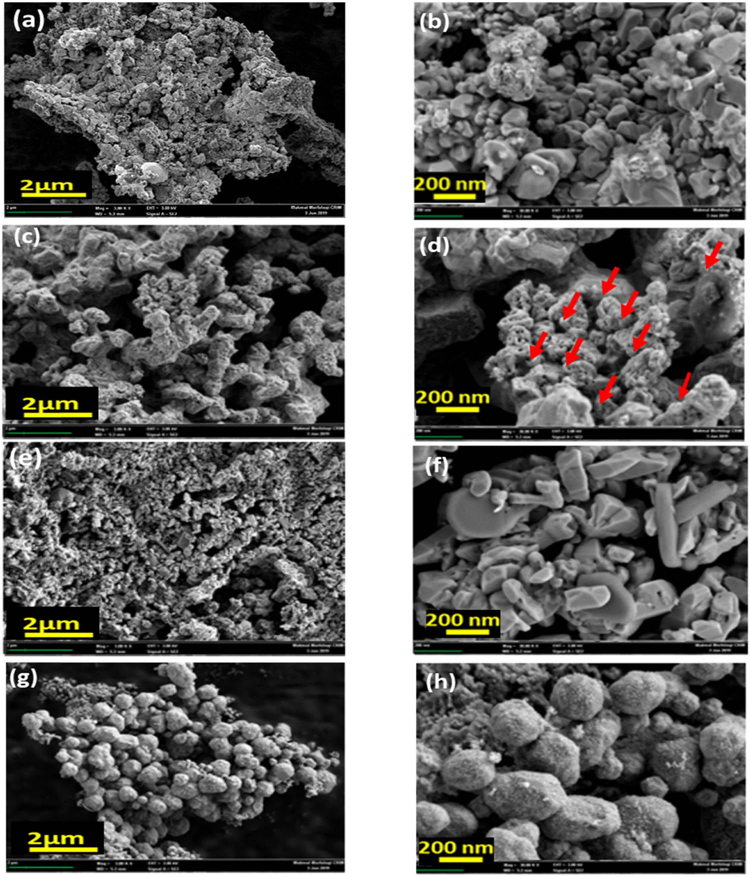 Figure 4
FE-SEM images of the samples with different reduction agent at different magnifications: (a) and (b) molasses, (c) and (d) starch, (e) and (f) Arabic gum, and (g) and (h) vinegar.