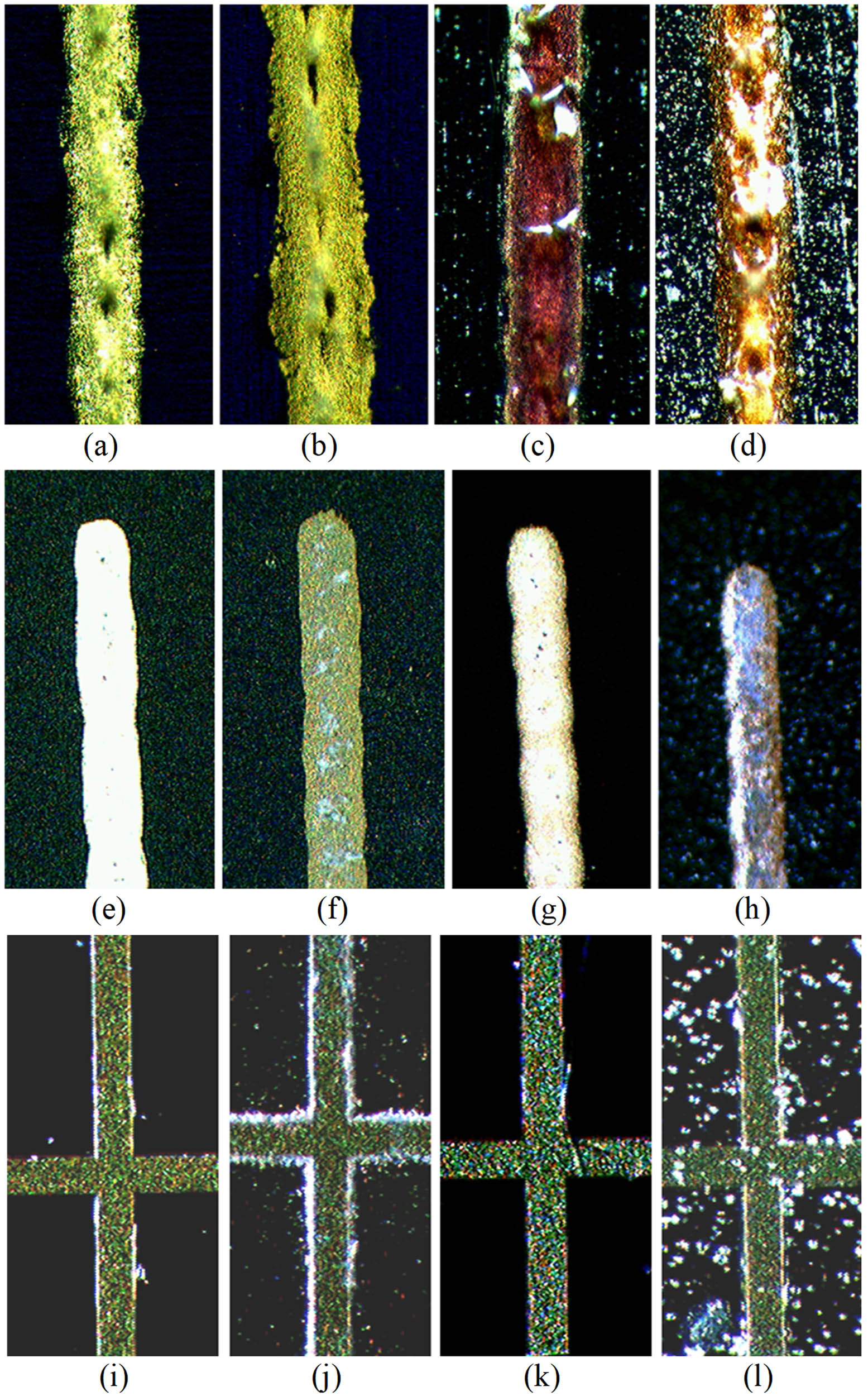 Figure 19 
                  Microscopic images (40× magnification) of the front conductor of (a) bare unexposed SHJ cell, (b) bare SHJ cell UV-exposed for 5,294 ESH, (c) SHJ cell coated with two layers of CORIN and UV-exposed for 4,453 ESH, (d) SHJ cell coated with one layer of CORIN and SCL on the top and UV-exposed for 7,058 ESH, (e) bare unexposed CIGS cell, (f) bare CIGS cell UV-exposed for 4,913 ESH, (g) CORIN-coated CIGS cell exposed for 6,977 ESH, (h) SCL-coated CIGS cell exposed for 5,038 ESH, (i) bare unexposed IMM cell, (j) bare IMM cell UV-exposed for 6,870 ESH, (k) CORIN-coated IMM cell exposed for 6,736 ESH, and (l) SCL-coated IMM cell exposed for 5,693 ESH. Images (e)–(h) are enlarged ∼1.5 times with respect to images (a)–(d), images (i)–(l) are enlarged ∼2 times.
               
