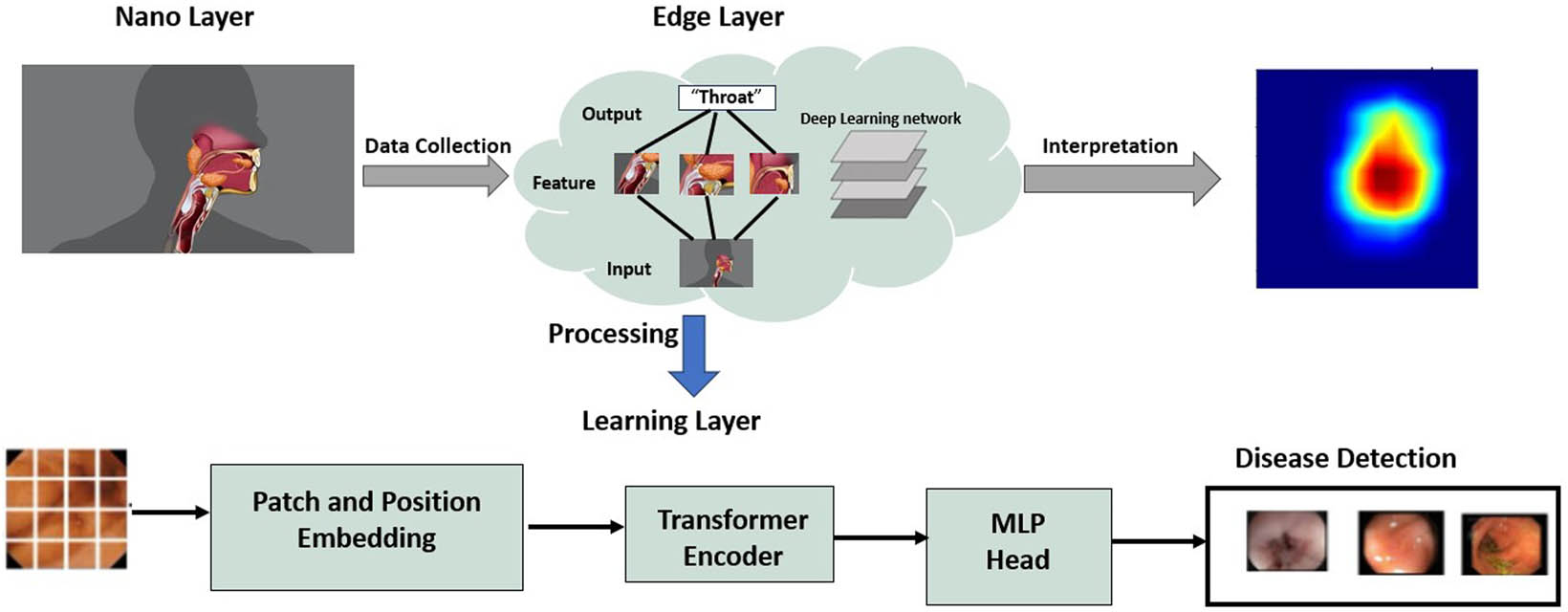 Figure 1 
                  IoNT framework.
               