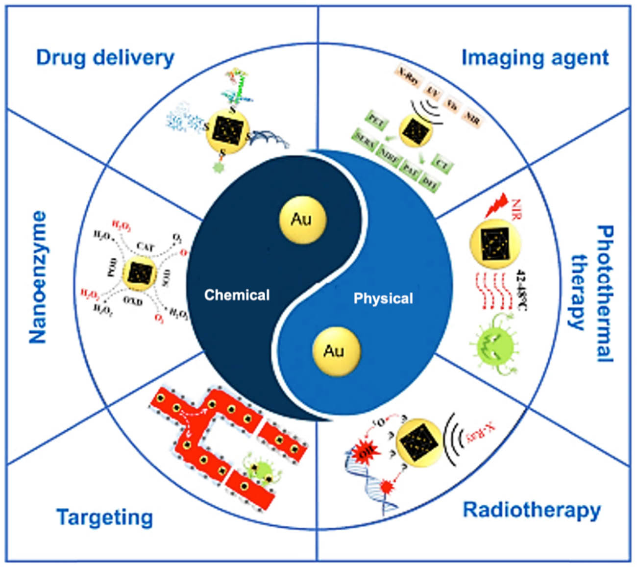 Figure 5 
                  Applications of AuNPs in the tumor diagnosis and its treatment, adapted from ref. [116] under Creative Commons license.
               