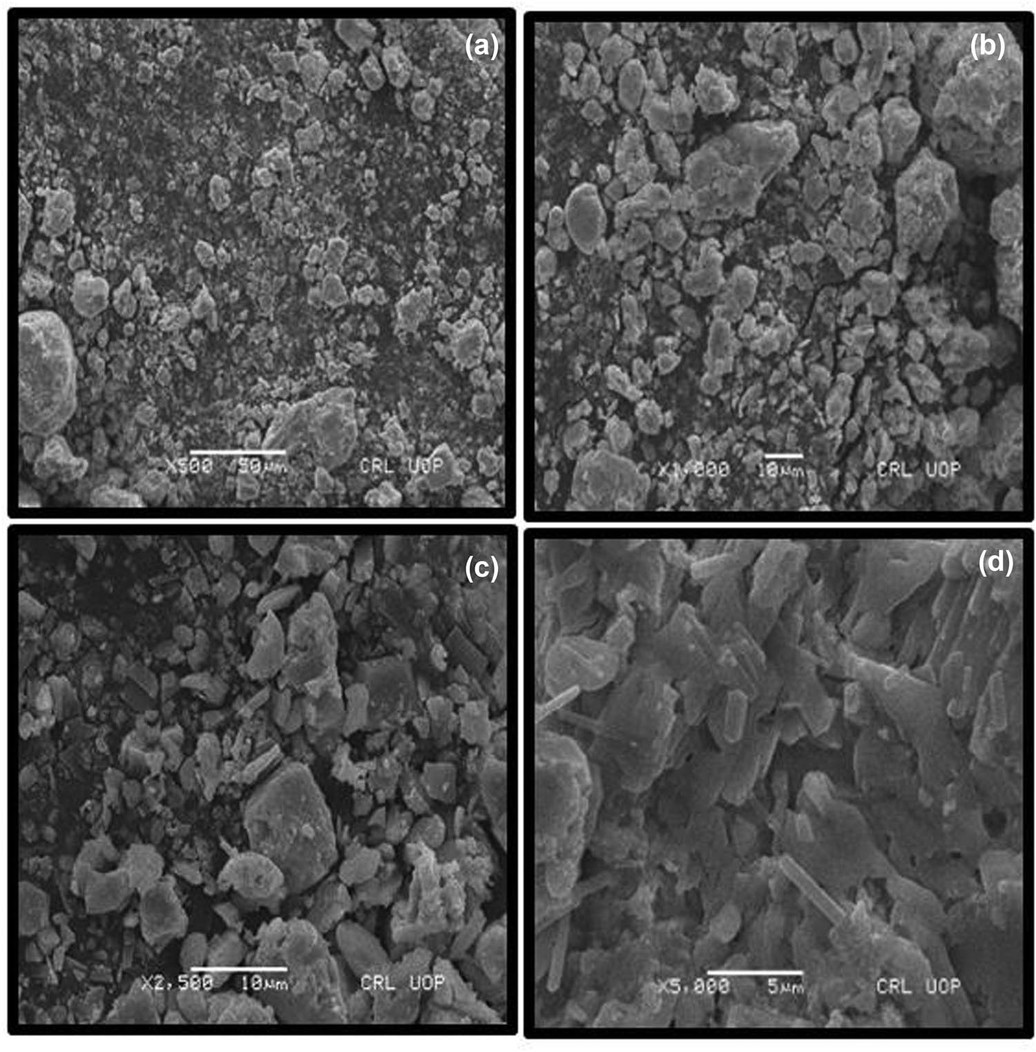 Figure 2 
                     SEM analysis (a–d) of the bio-based green sodium tungstate nanocatalyst.
                  
