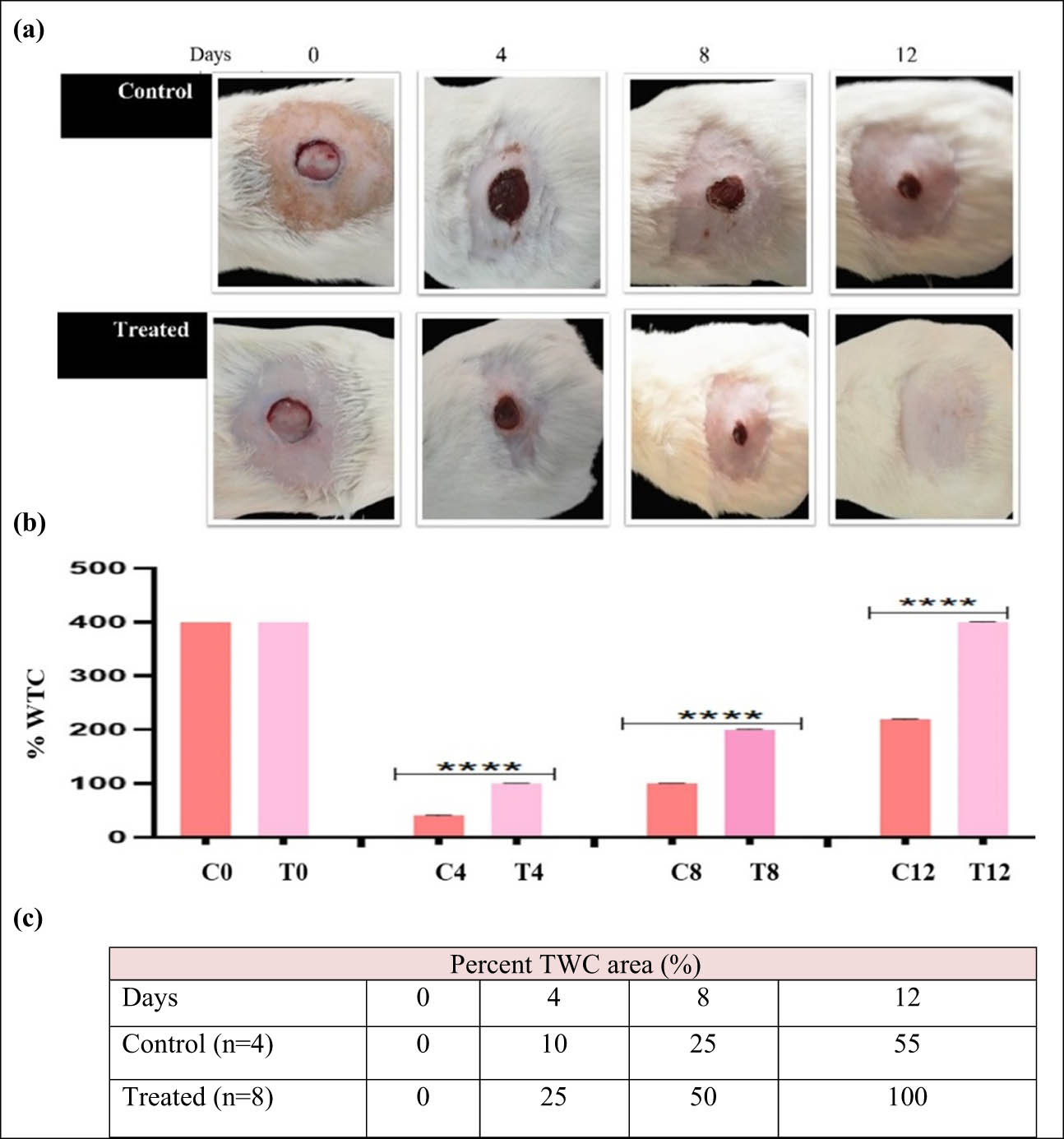 Figure 7 
                  
                     In vivo (in mice) wound-healing potential of Neo-Ag/ZnO NEG over a period of 12 days. (a) Pictures were taken at 4-day interval after treatment with Neo-Ag/ZnO NEG. (b) Graphical representation of the Neo-Ag/ZnO NEG effect on wound area (mm2) at indicated days. Data are presented as the mean ± SEM. N = 12 (****p = 0.0001). (c) Tabulated data. WTC: wound total closure.
               