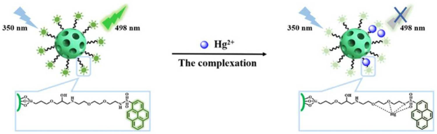 Figure 4 
                  The mechanism of pyrene-functionalized mesoporous silica nanoparticles to capture Hg2+ ions in an aqueous solution. Adapted from ref. [28] with permission. Copyright 2022 Elsevier.
               
