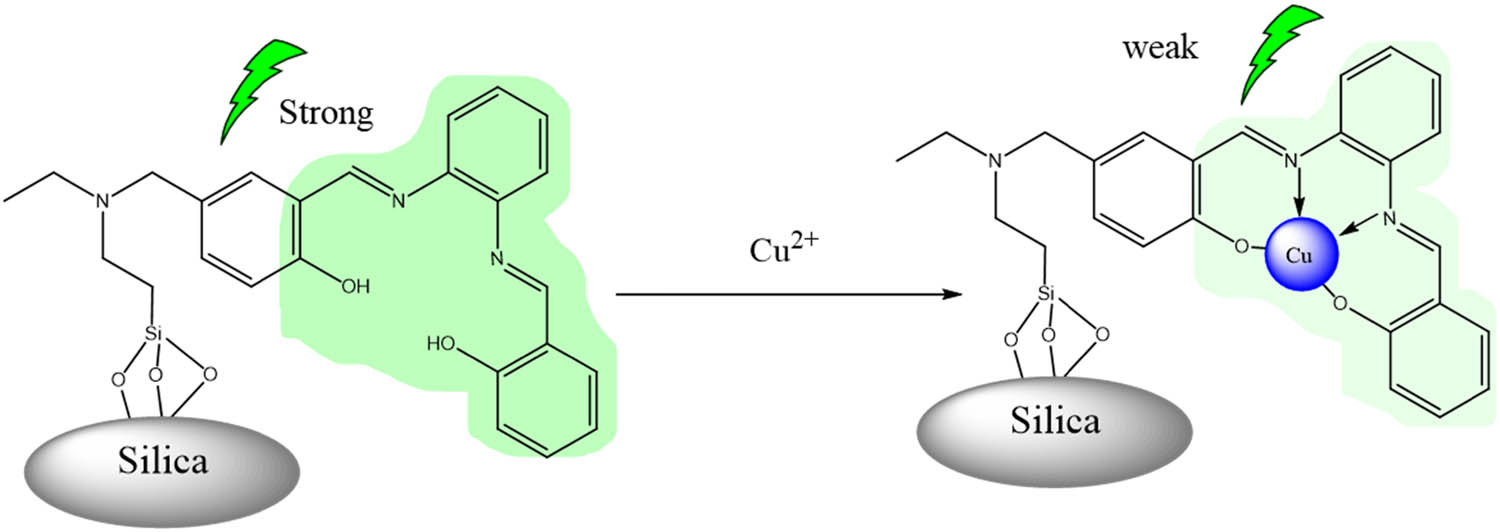 Figure 5 
                  The mechanism of MS@NPS to capture Cu2+ ions in the water. Adapted from ref. [39] with permission. Copyright 2022 Royal Society of Chemistry.
               