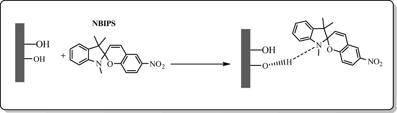 Figure 23 
                  Incorporation of 2H-spiro[[6] nitrochromene-2,2′-[1,3,3] trimethylindoline] dye into Si-MCM-41 pores through HBs. Adapted from ref. [109] with permission. Copyright 2001 Royal Society of Chemistry.
               