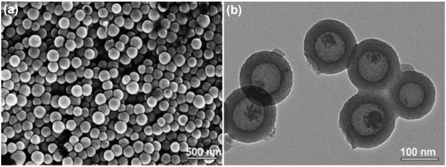 Figure 32 
                        SEM (a) and TEM (b) image of AZB-HMSs. Adapted from ref. [141] with permission. Copyright 2015 Royal Society of Chemistry.
                     