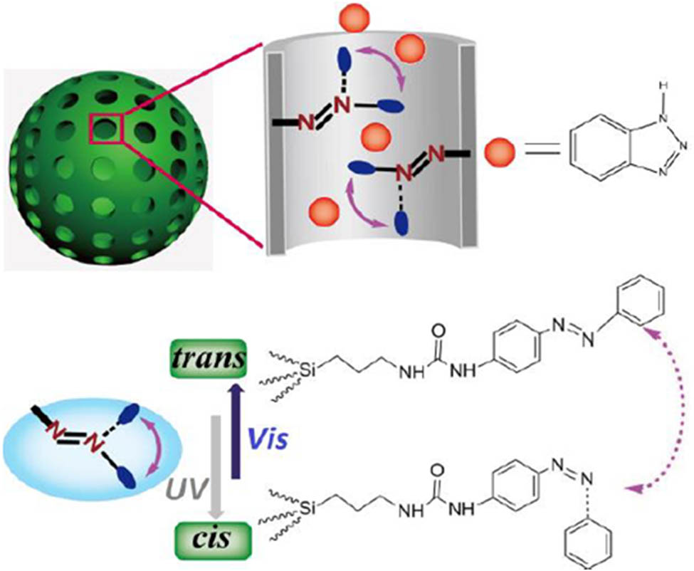 Figure 33 
                        Illustration of a reversible release system of benzotriazole molecules based on trans-cis photoisomerization of AZB molecules grafted into HMSs. Adapted from ref. [141] with permission. Copyright 2015 Royal Society of Chemistry.
                     