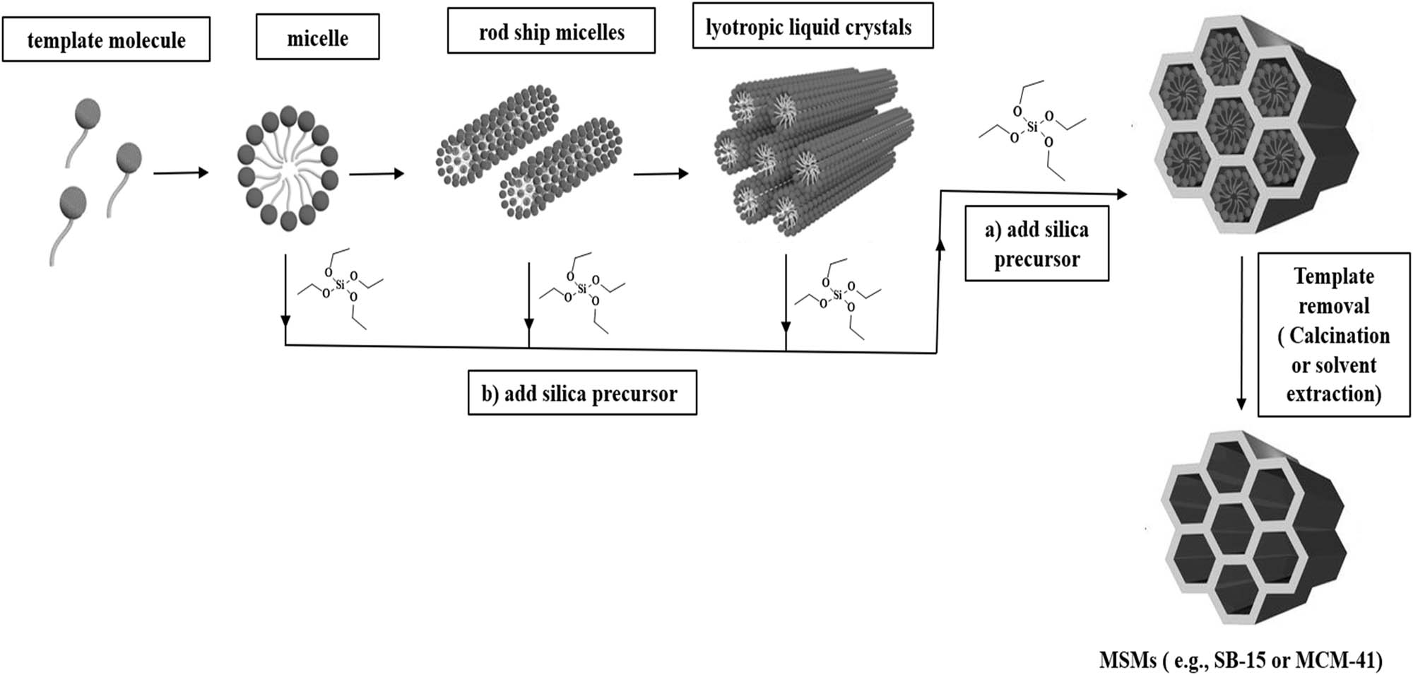 Scheme 1 
                  The general synthetic pathway of MCM-41 and SBA-15.
               