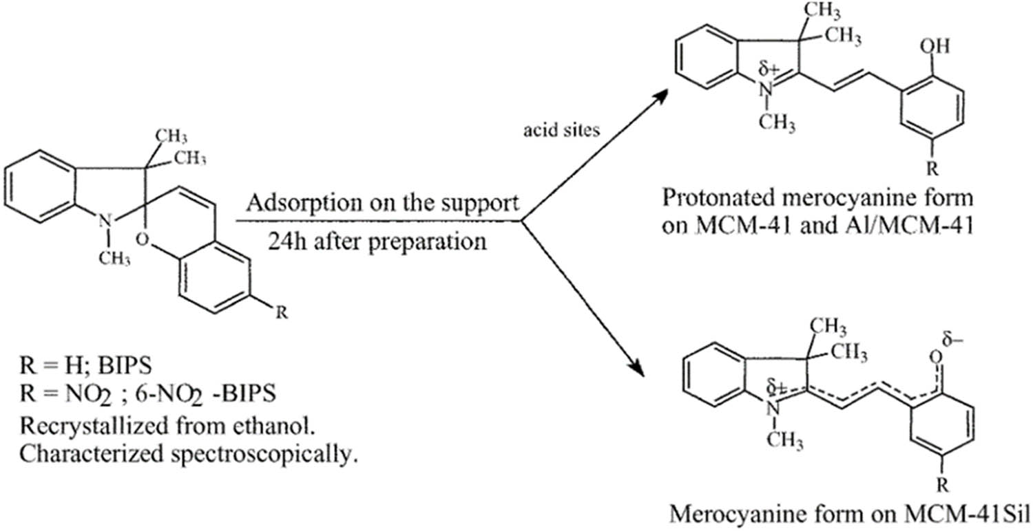 Scheme 3 
                  Processes observed upon the physical adsorption of SP in MCM-41 aluminosilicates. Adapted from ref. [121] with permission. Copyright 2002 Royal Society of Chemistry.
               
