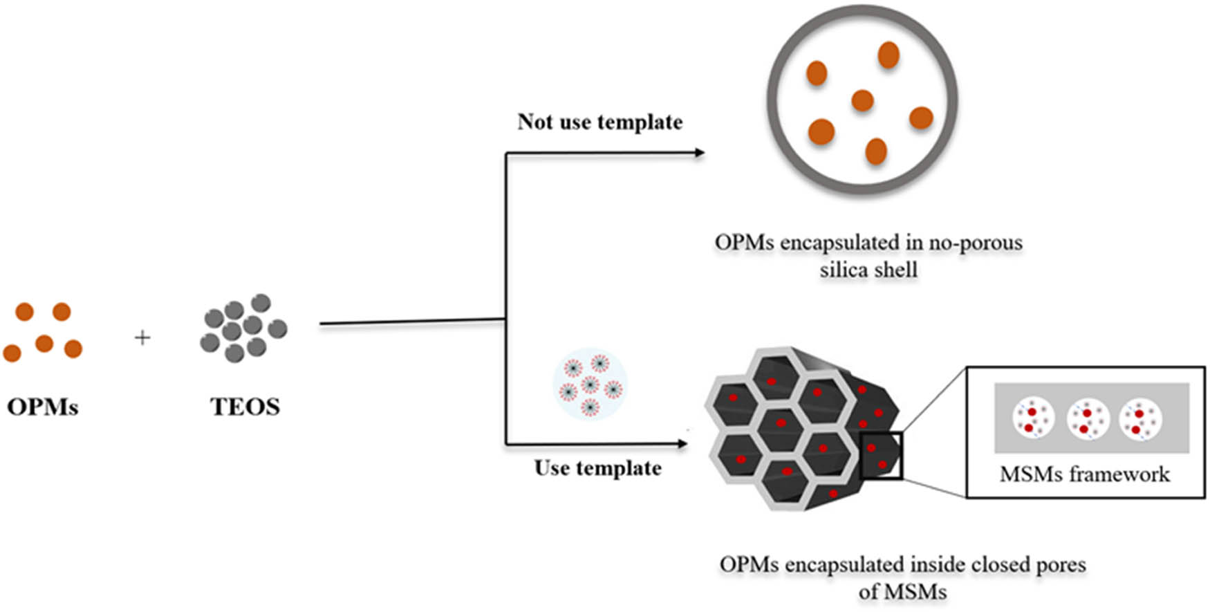 Scheme 5 
                  Incorporation of OPMs into MSMs via the encapsulation method.
               