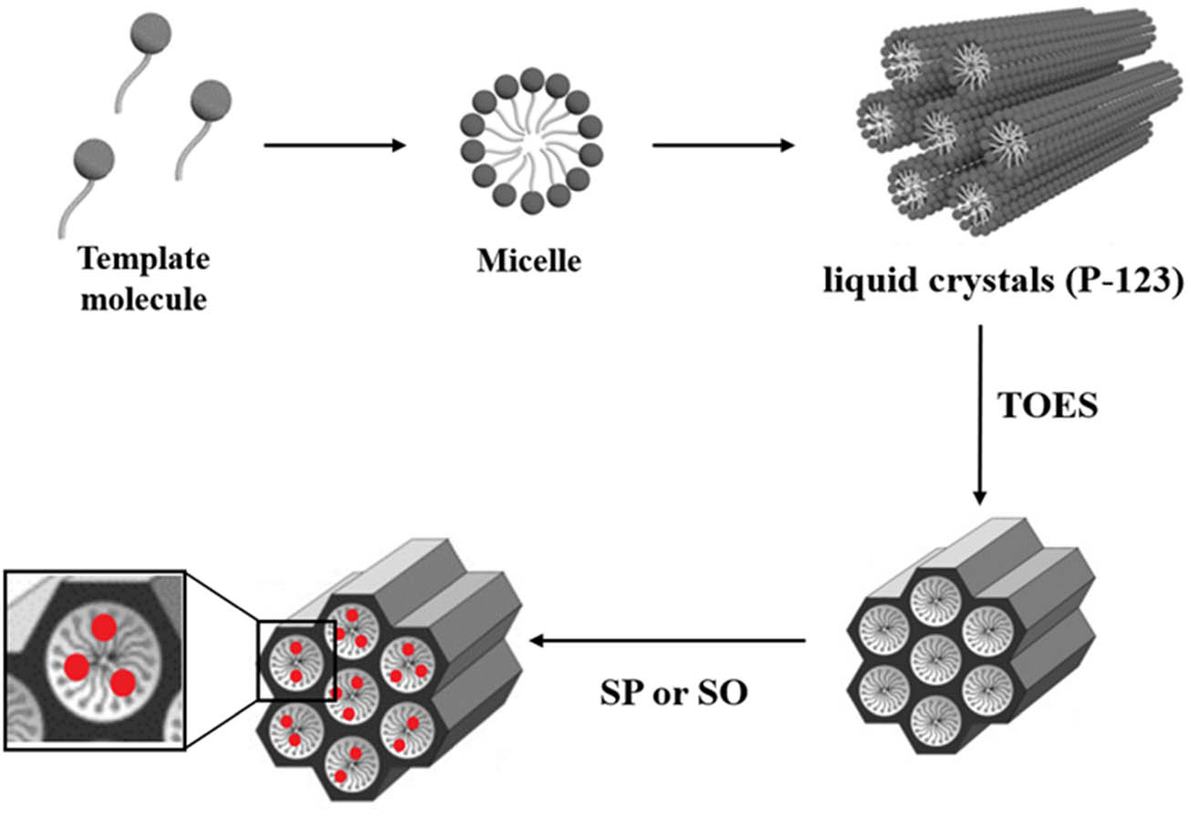Scheme 6 
                  Schematic explanation for the encapsulation of SP and SO into SBA-15/P123.
               