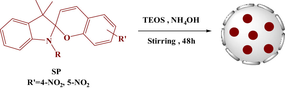 Scheme 7 
                  Synthetic route of the silica encapsulated SP. Adapted from ref. [119] with permission. Copyright 2022 Royal Society of Chemistry.
               
