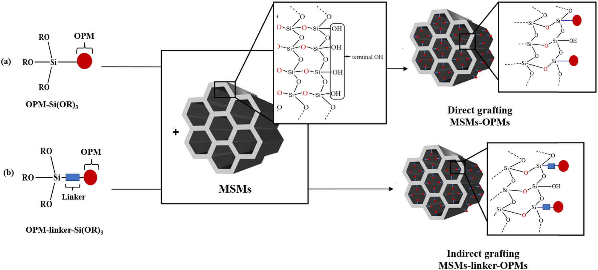 Scheme 8 
                        Incorporation of OPMs into MSMs by grafting. Direct grafting (a) and indirect grafting (b).
                     