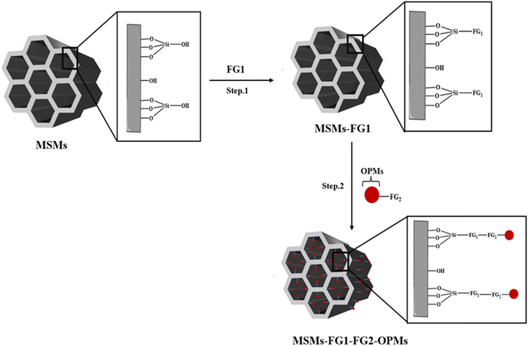 Scheme 10 
                        Incorporation of OPMs into MSMs via two-step indirect grafting.
                     
