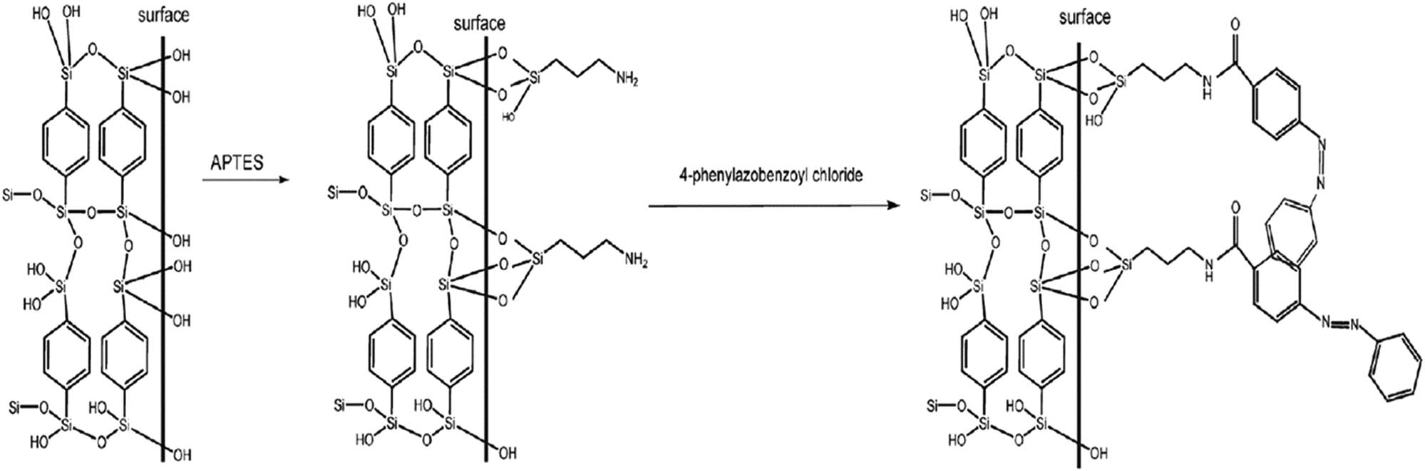 Scheme 12 
                        AZB functionalized Bz-PMO material using two-step indirect grafting. Adapted from ref. [138] with permission. Copyright 2016 Elsevier.
                     