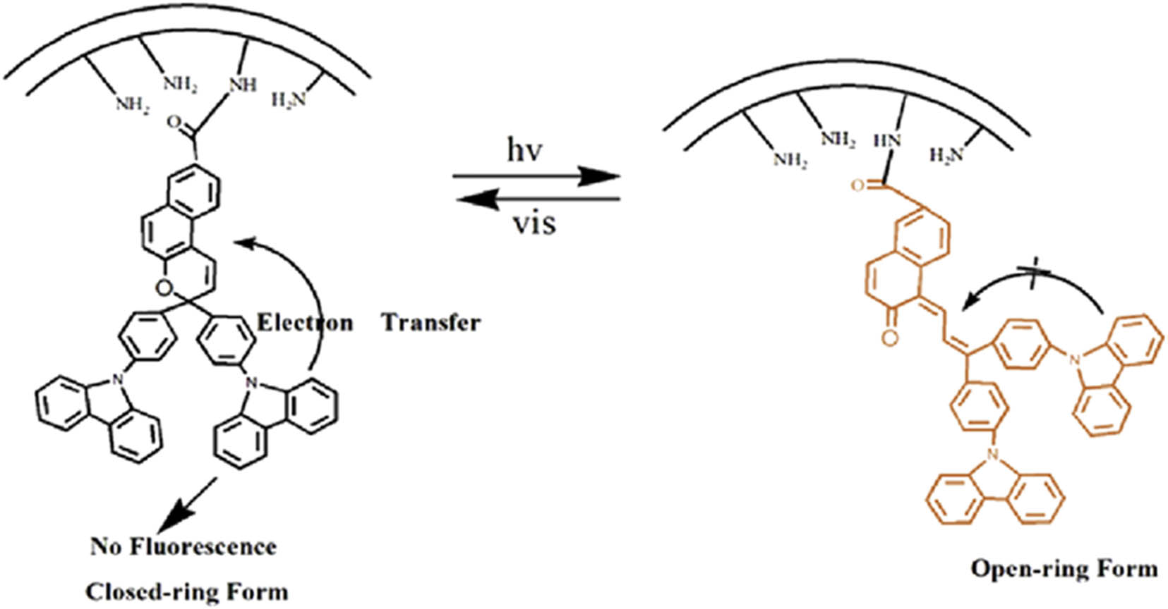 Scheme 15 
                        The fluorescence switching behavior of synthesized CzNP-SBA-15-NH2. Adapted from ref. [139] with permission. Copyright 2014 Elsevier.
                     
