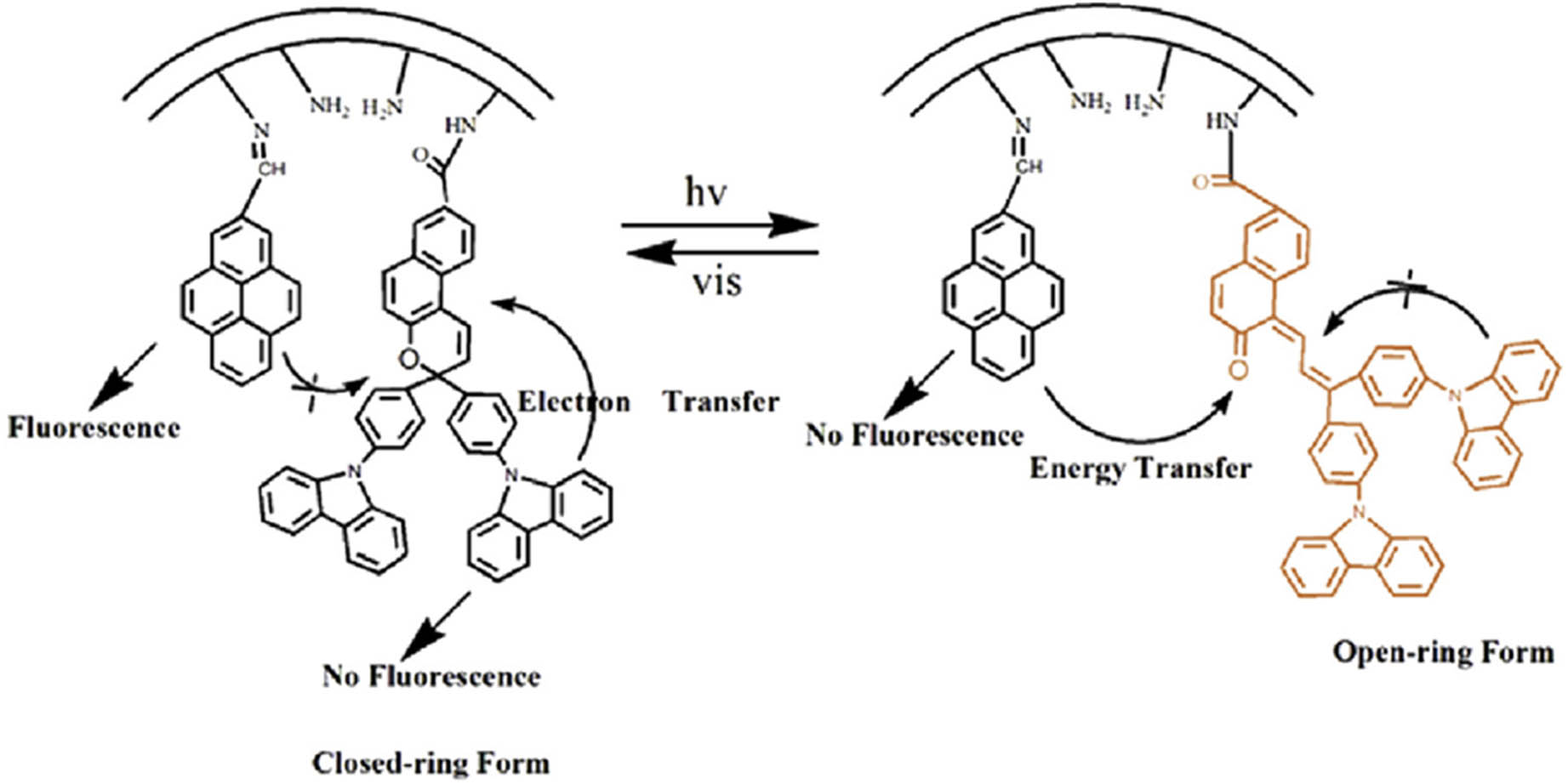 Scheme 16 
                        The fluorescence switching behavior of synthesized CzNP-SBA-15-NH2 and PY-CzNP-SBA-15-NH2. Adapted from ref. [139] with permission. Copyright 2014 Elsevier.
                     