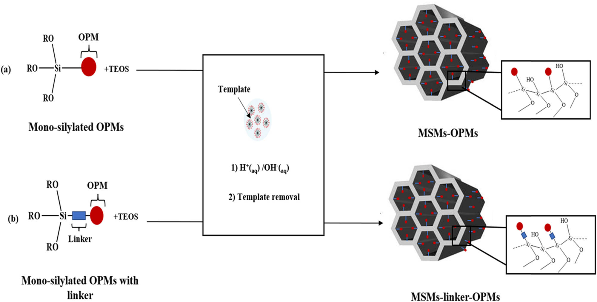 Scheme 17 
                        Immobilization of OPMs into MSMs surface using co-condensation method of mono-silylated OPMs with a silica source. (a) Without linker and (b) with linker.
                     
