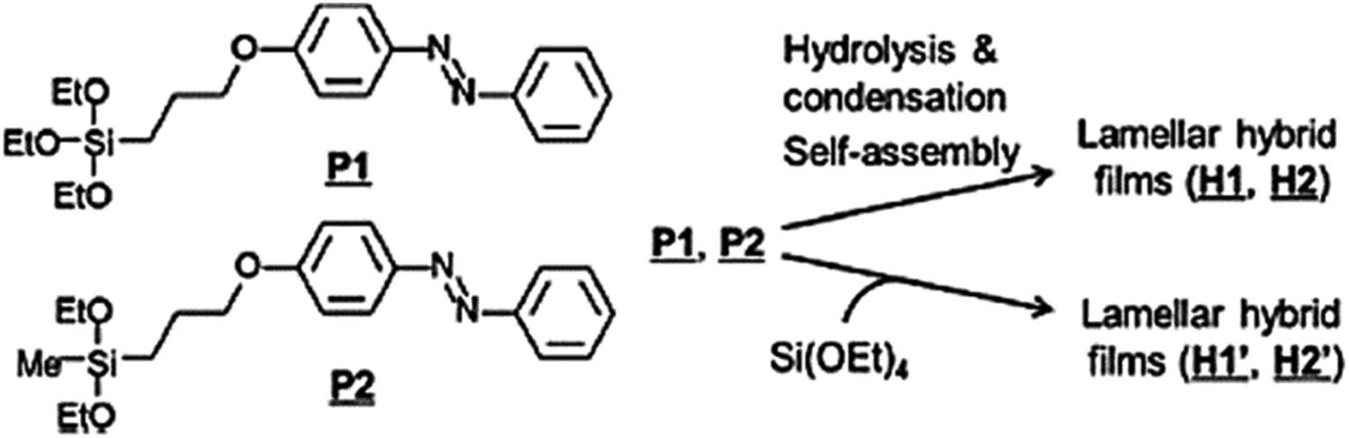 Scheme 20 
                        Structures of diethoxysilyl- and triethoxysilyl-AZB precursors (P1 and P2) and preparation of four types of lamellar, AZB–siloxane hybrid films by co-condensation method with and without TEOS. Adapted from ref. [142] with permission. Copyright 2013 Royal Society of Chemistry.
                     