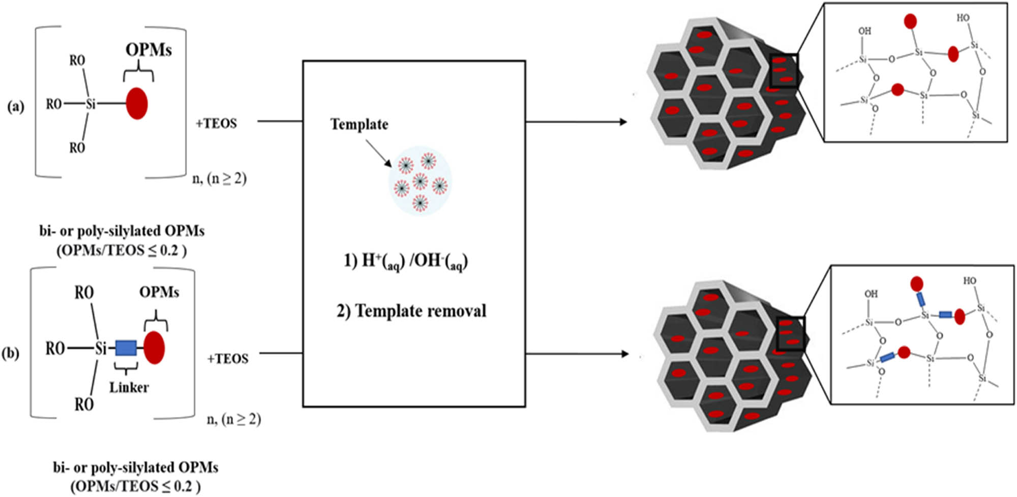 Scheme 23 
                        Incorporation of OPMs into MSMs framework using co-condensation method, (a) without linker and (b) with linker.
                     