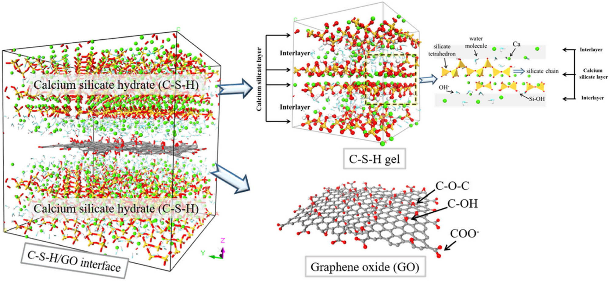 Figure 3 
                  MD model for CSH gel and CSH/GO interface [72].
               