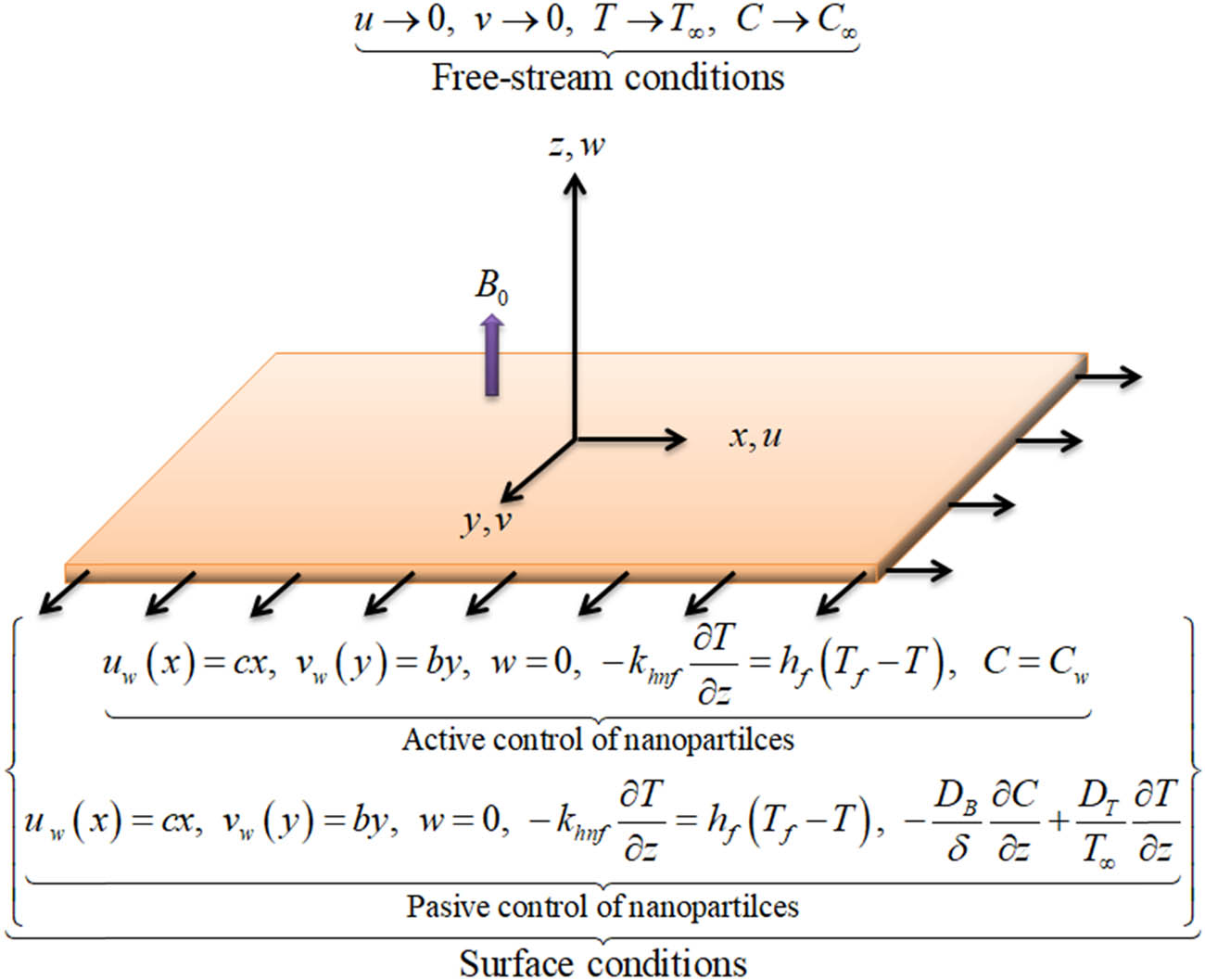 Figure 1 
               Flow problem geometrical view.
            