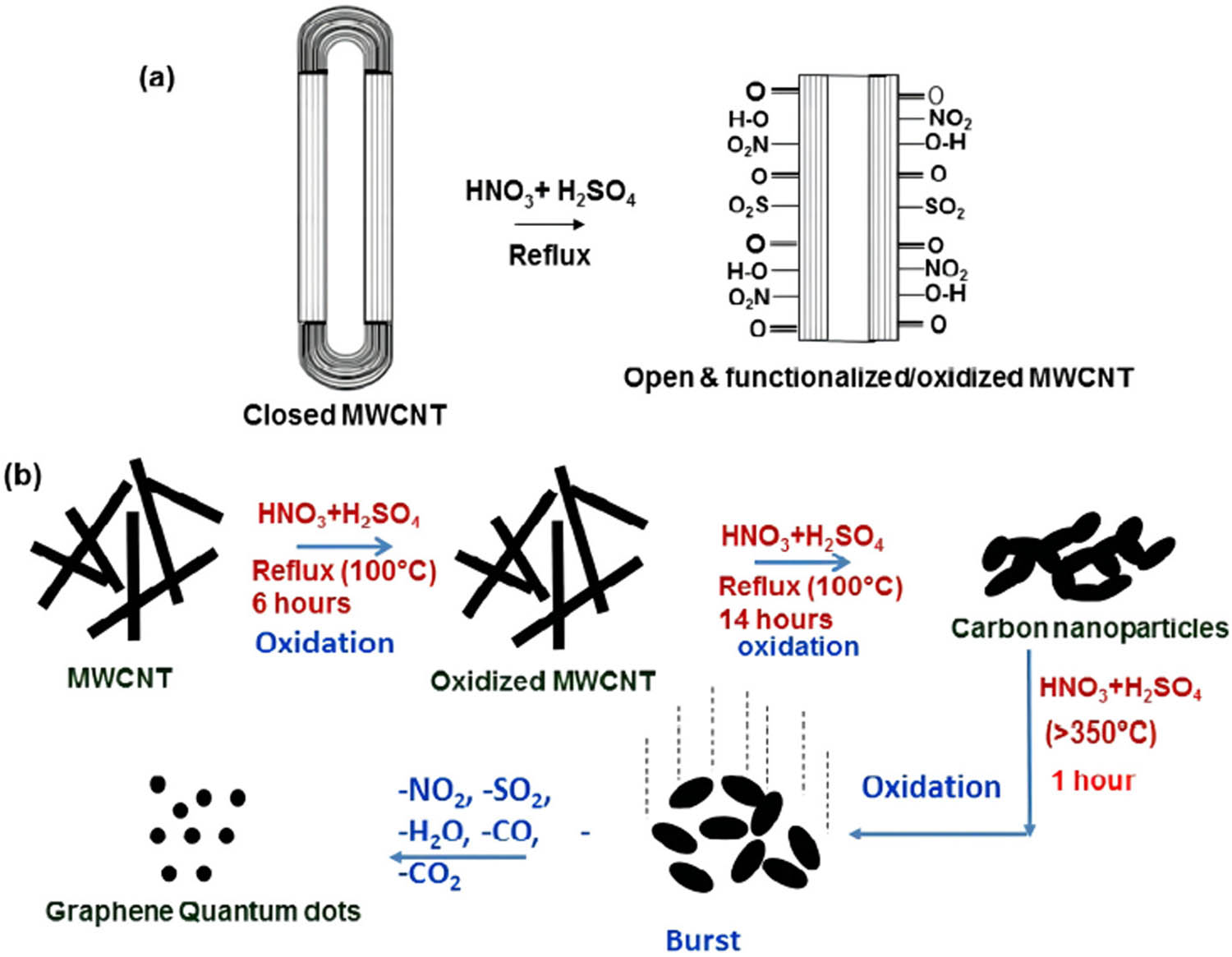 Figure 4 
                        Proposed mechanism for the generation of CQDs via high-temperature acidic oxidation of multiwalled carbon nanotubes (MWCNTs). (a) The graphene layer on the surface wall of carbon nanotubes is oxidized by acid reagents, resulting in the formation of carbonyl, carboxylic, sulphur oxide and nitro groups on MWCNTs' surface. (b) The increase in reaction time causes oxidation of the graphene layers underneath the surface wall, resulting in nanotubes bending, buckling, and folding [33].
                     