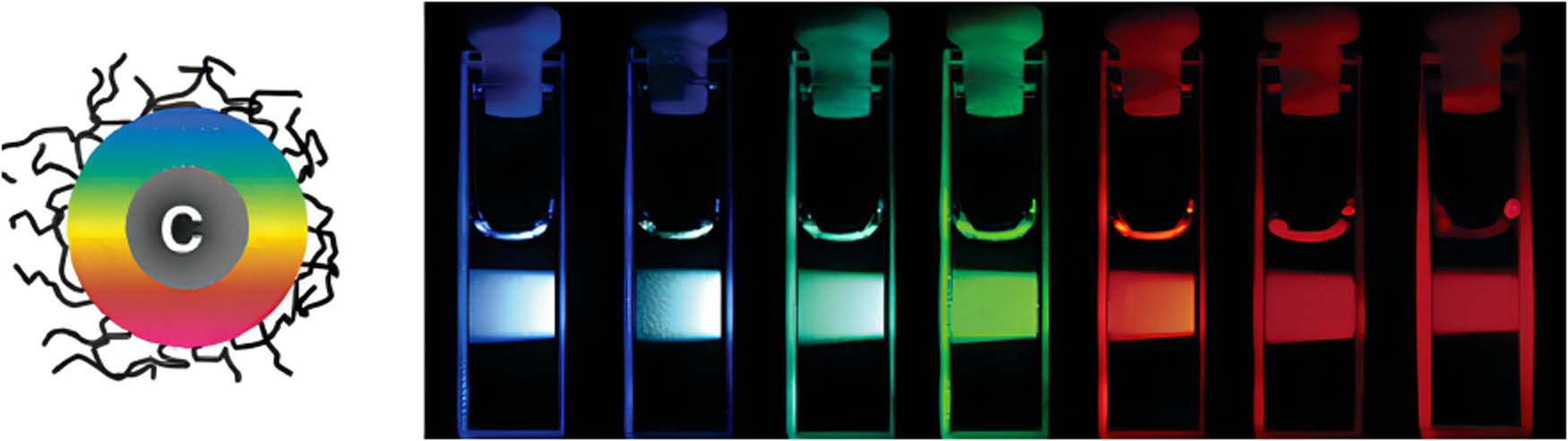 Figure 6 
                        PEG1500N CQDs after passivation [55].
                     