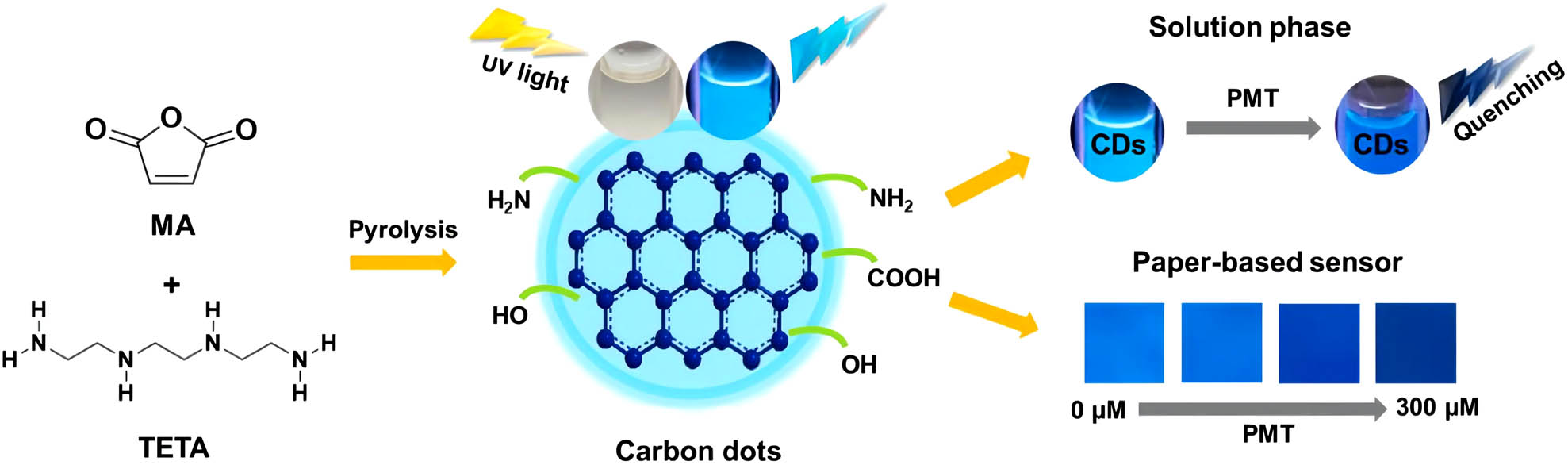 Figure 7 
                        Preparation of CQDs by pyrolysis of MA and triethylenetetramine for detection of pyrimethanil [61].
                     
