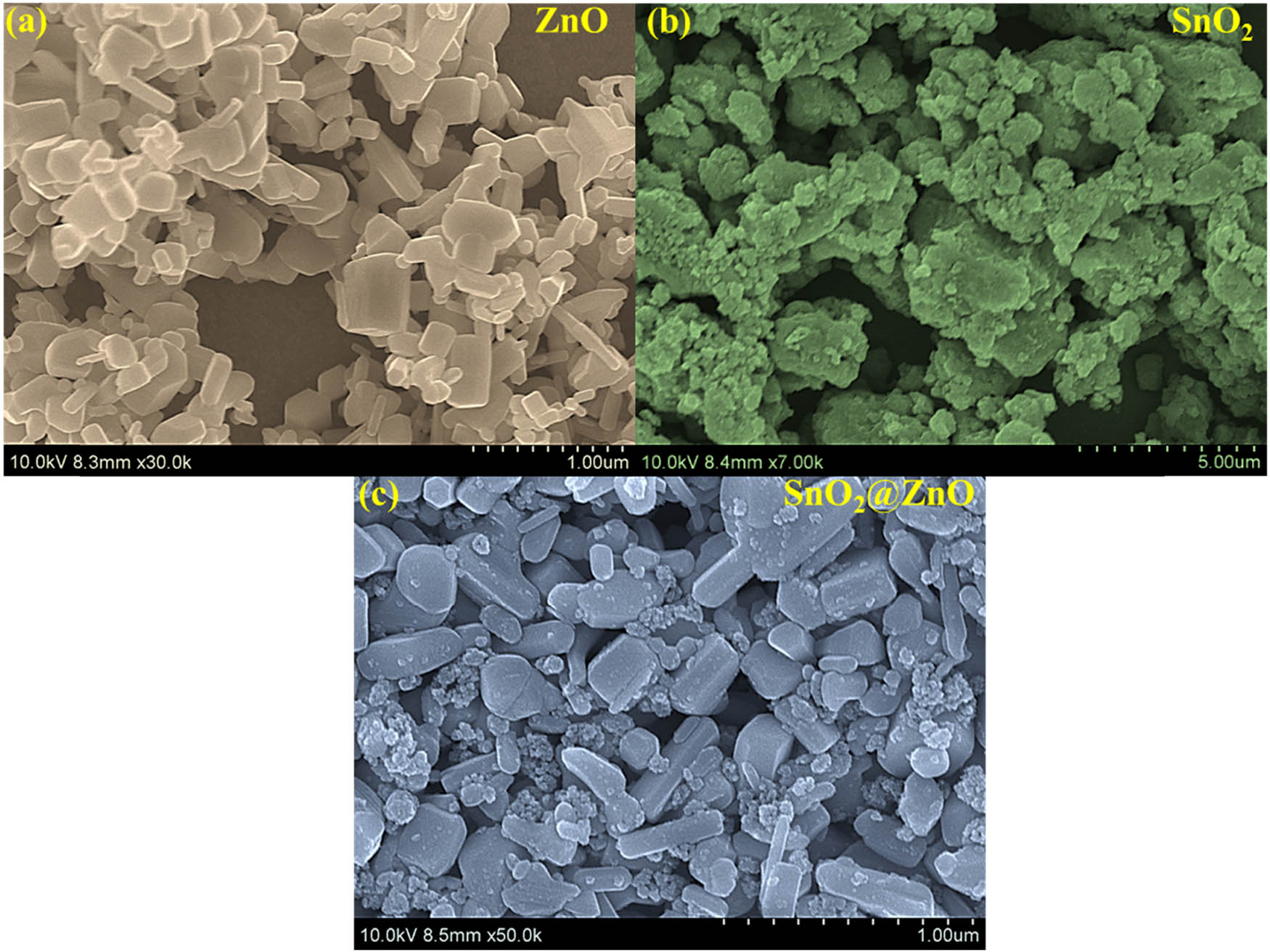 Figure 2 
                  SEM analysis of (a) ZnO hexagonal prisms, (b) SnO2 quantum dots, and (c) SnO2@ZnO hexagonal prisms.
               