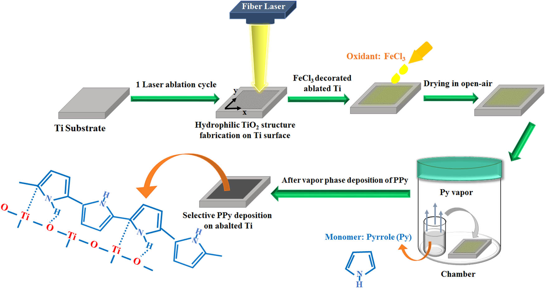 Figure 3
Schematic of the PPy deposition process on the ablated Ti target.
