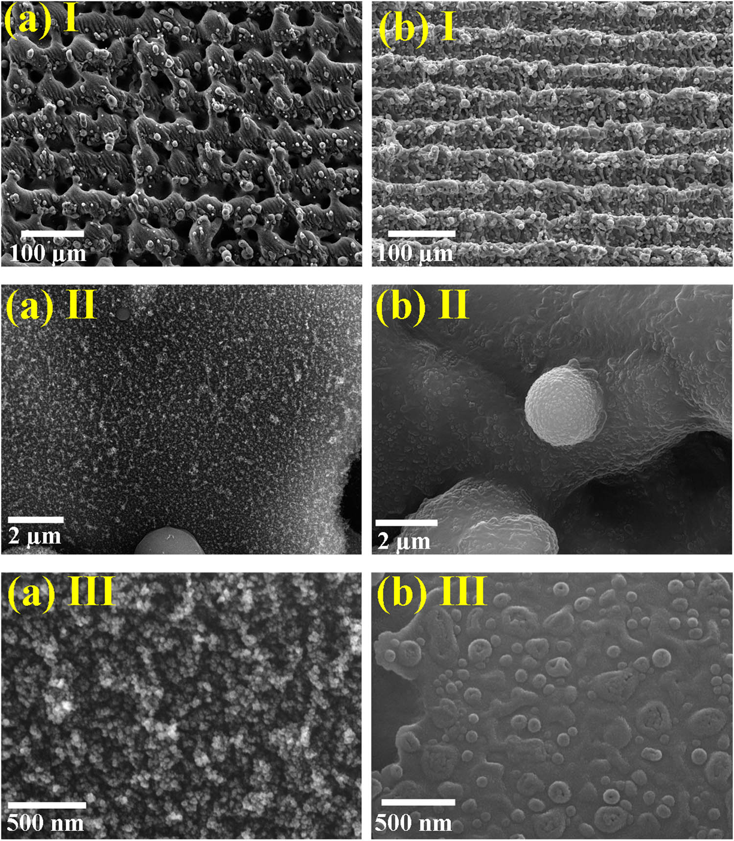 Figure 6 
                     FESEM images of the irradiated Ti sample before (a [I–III]) and after (b [I–III]) PPy deposition on it of S4.
                  