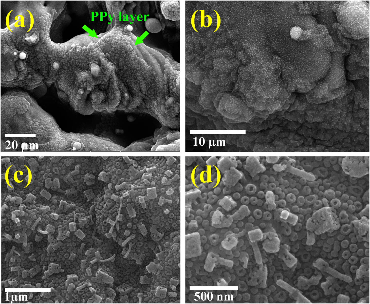Figure 7
FESEM images of the surface of sample S8 at different magnifications (a–d).