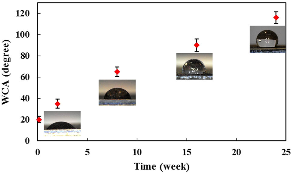 Figure 10
Variation in the WCA of S4 through the aging effect.