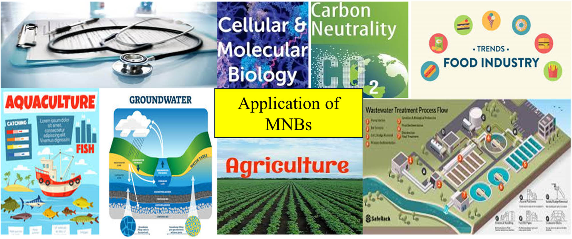 Figure 7 
               Applications of MNBs [38–45].
            