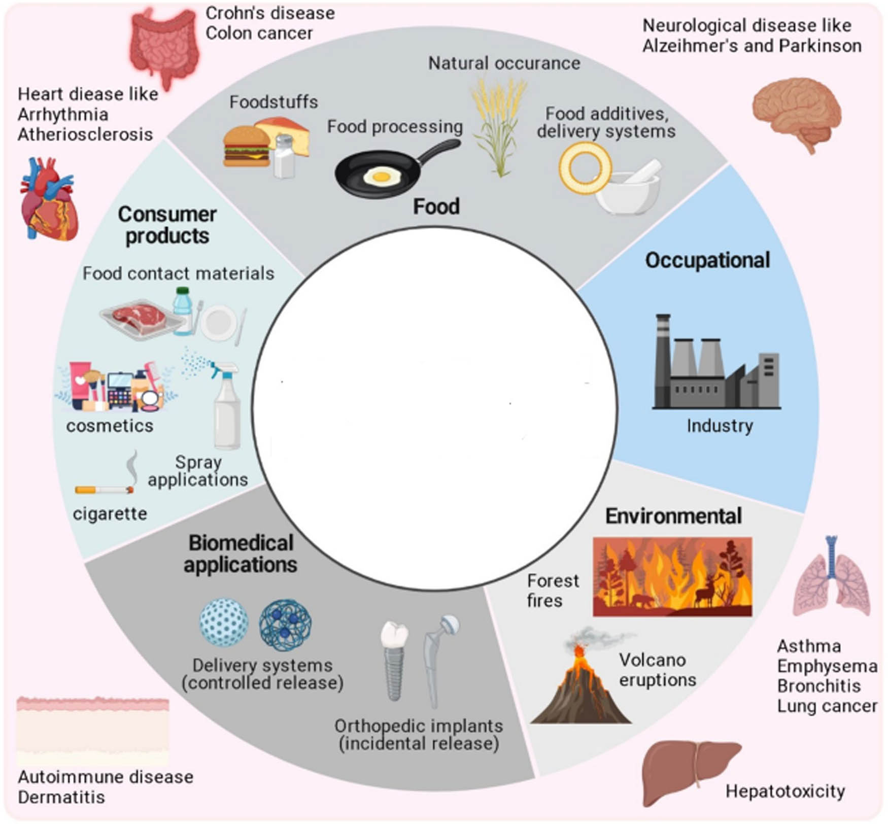Figure 4 
                  The potential origins (inner circle) and the resultant health effects (outer circle) stemming from exposure to NMs [2].
               