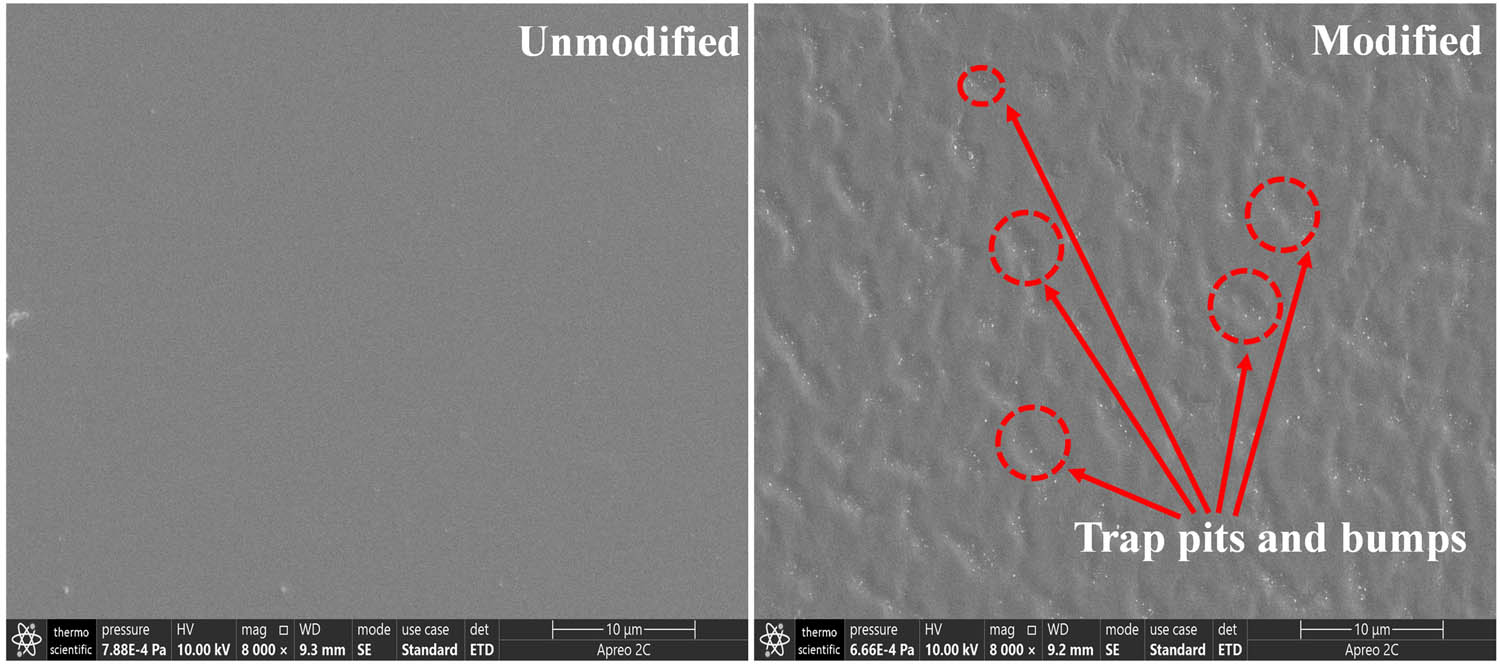Figure 6 
                  Surface topography of unmodified and modified (60 keV) EP insulation through SEM method.
               