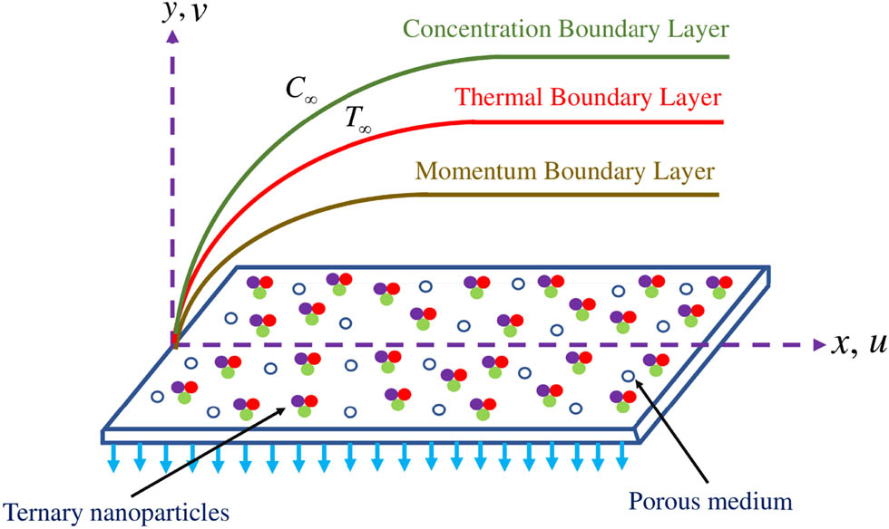 Figure 1 
               Design of the flow problem.
            