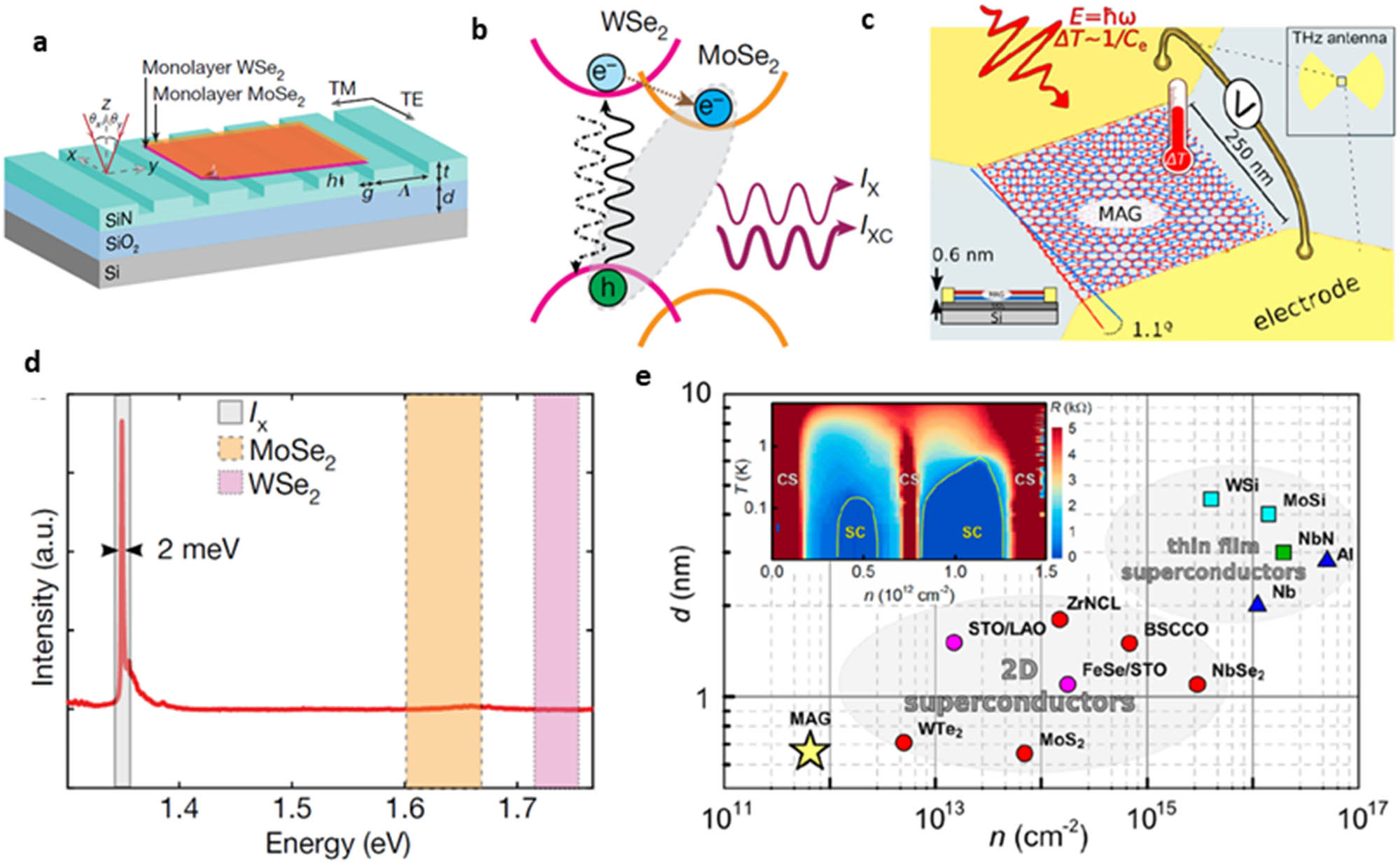 Figure 9 
                  Interlayer exciton laser and single-photon detector. (a) The schematic diagram of the WSe2/MoSe2 interlayer exciton laser device. (b) IThe band alignment and carrier dynamics of the hetero-bilayer, emphasizing the type II band alignment and forming a three-level system for the injected carriers, and the excitement of intralayer excitons in the WSe2 layer by a pump laser. (c) The schematic cartoon of magic-angle tBLG superconducting single-photon nanocalorimeter. (d) The PL spectrum from the hetero-bilayer, pumped with a 633-nm laser at 20 μW, highlighting the spectral range of interlayer (IX), MoSe2, and WSe2 exciton emission. (e) The carrier density and thickness between superconductor magic-angle tBLG and 2D thin film superconductors below 10 nm, with an inset offering a glimpse of the phase diagram of magic-angle tBLG. The figure is reproduced with the permission of (a), (b), (d) Ref. [177], © 2019 Nature Publishing Group, (c) and (e) Ref. [173], © 2020 American Chemical Society.
               