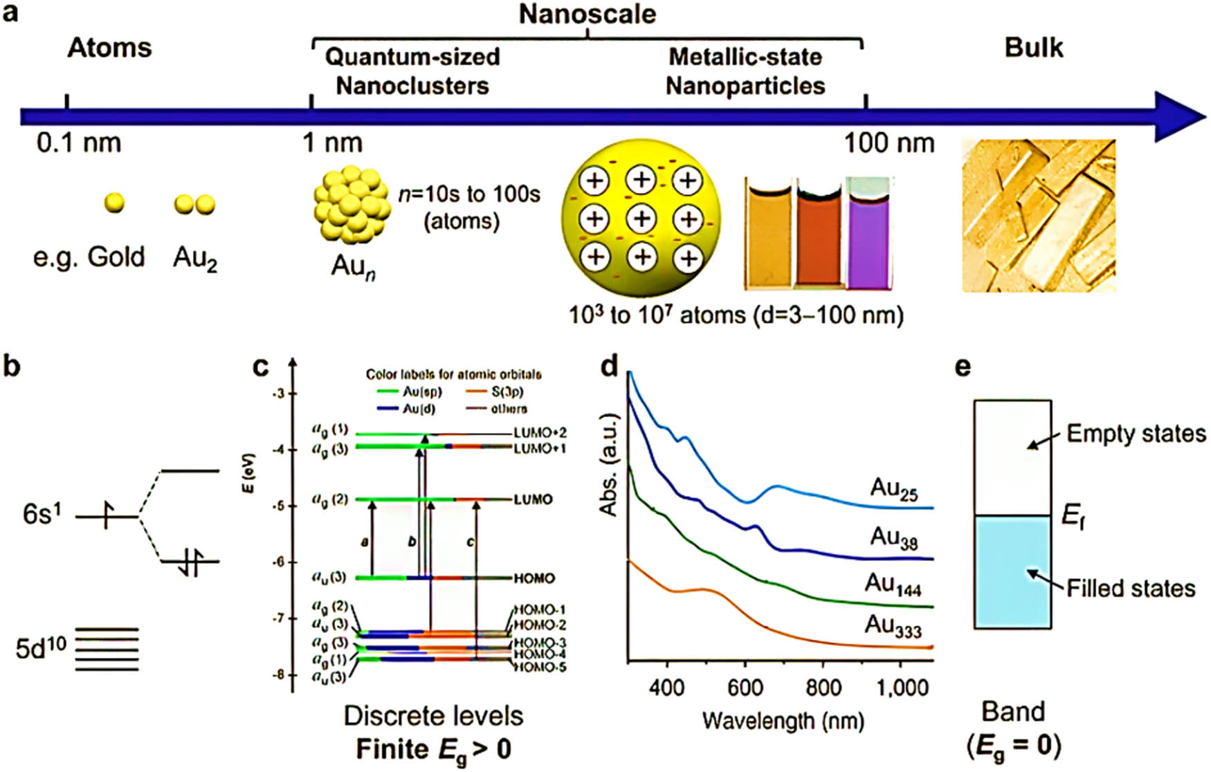 Figure 1 
                  The evolutionary journey from atomic building blocks to the nanoscale and bulk metals. (a) The nanoscale (1–100 nm) is divided into two distinct size regimes: quantum-sized nanoclusters (1–3 nm) consisting of tens to hundreds of atoms and regular metallic-state NPs (3–100 nm). (b) Atomic and diatomic electronic states serve as the foundation for understanding electronic structures. (c) Quantum-sized nanoclusters exhibit a molecule-like electronic structure characterized by the HOMO, the LUMO, and E
                     g (HOMO-LUMO gap). (d) The evolution from discrete electronic excitation to collective electron excitation (plasmon) is showcased in optical absorption spectra with increasing size of nanoclusters. (e) The continuous band electronic structure is illustrated for metallic-state NPs and bulk metals, featuring E
                     f as the Fermi level/energy. Copyright with permission from the study of Jin and Higaki [44].
               
