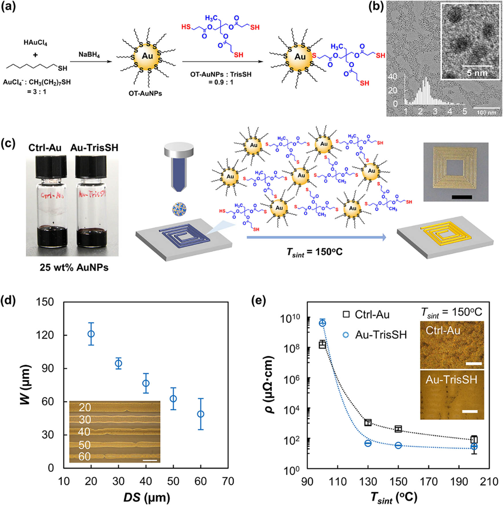 Figure 3 
                  Multi-faceted aspects of synthesizing and utilizing octanethiol-functionalized GNPs (OT-GNPs) for inkjet printing applications. (a) Schematic representation provides insights into the synthesis process of OT-GNPs and the subsequent ink formulation, incorporating a multifunctional thiol (TrisSH) for enhanced cohesion. (b) High-resolution transmission electron microscopy (HRTEM) images offer a detailed view of OT-GNPs, showcasing their morphology, with a histogram presenting the size distribution. (c) a photograph displays two ink formulations, Au-TrisSH and Ctrl-Au, with and without TrisSH, along with a schematic of the inkjet deposition process and an inset photograph of an inkjet-printed gold square-planar spiral coil. (d) Dependence of line widths on DS values, featuring an optical microscopy image of GNP lines printed at different DS values. (e) Electrical resistivity of printed Ctrl-Au and Au-TrisSH lines at varying sintering temperatures, complemented by optical microscopy images of post-treated lines at T
                     sint = 150°C. The dotted lines in the insets serve as guides, enhancing the clarity of the presented data. Overall, Figure 1 encapsulates the synthesis, characterization, and application of OT-GNPs in inkjet printing processes.
               