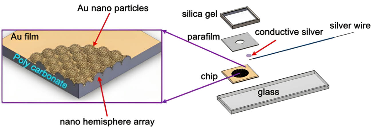 Figure 4 
                  Schematic of the proposed double-generation GNP electrode.
               