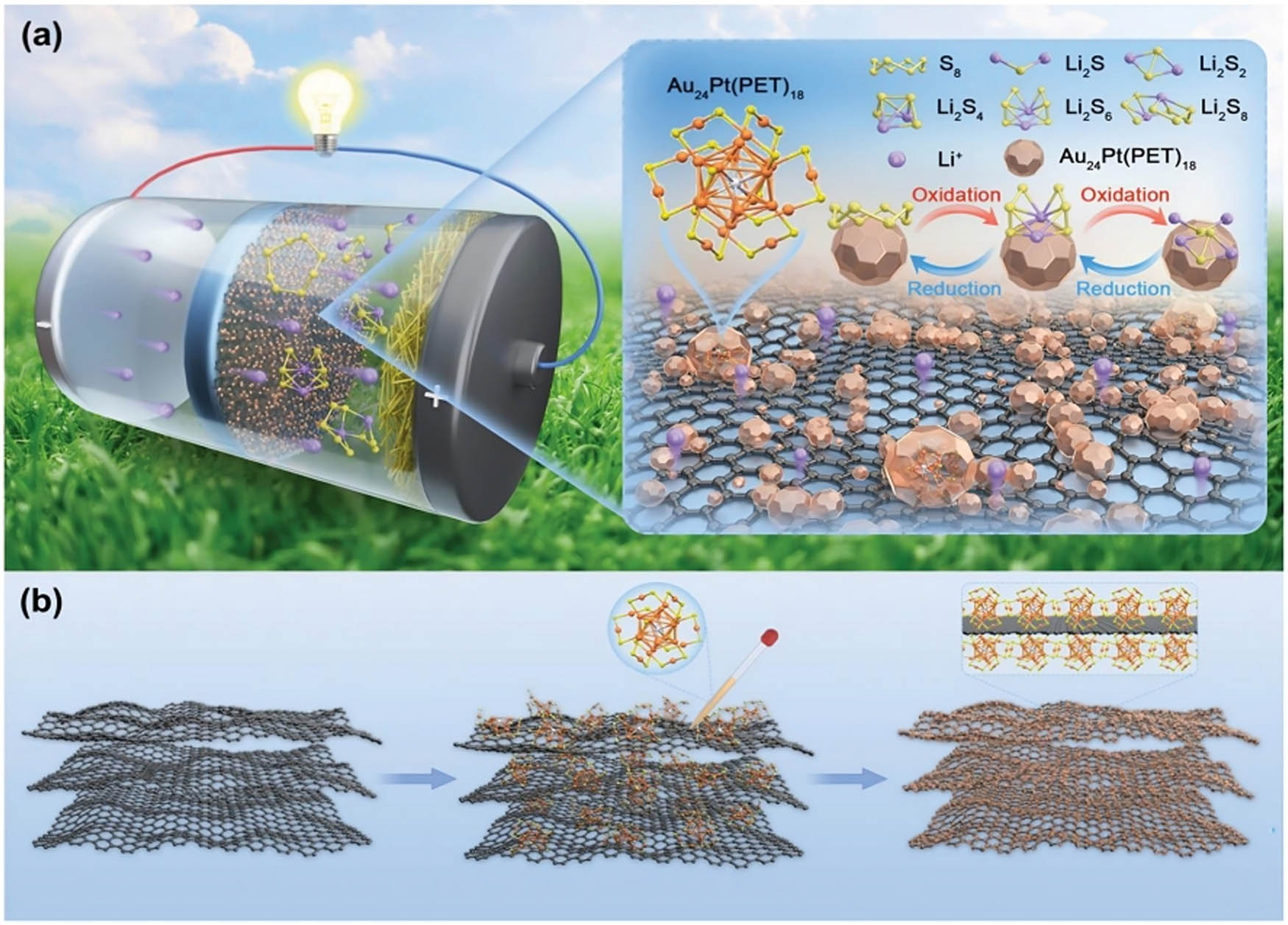 Figure 7 
                  (a) Li–S battery incorporating an Au24Pt(PET)18@G-modified separator designed for the adsorption of LiPS. The catalytic properties of the Au24Pt(PET)18 nanoclusters facilitate the reduction of elemental sulfur (S8) to LiPSs and the subsequent conversion to insoluble Li2S2/Li2S. Additionally, the nanoclusters play a role in oxidizing Li2S/Li2S2 back to LiPSs and S8. This synergistic adsorption and catalytic conversion mechanism enhances the battery’s overall performance by minimizing polysulfide shuttling and optimizing sulfur utilization. (b) The preparation process depicts the synthesis of Au24Pt(PET)18@G nanosheets, highlighting the strategic combination of graphene and Au24Pt(PET)18 nanoclusters to form the modified separator. Copyright with permission from the study of Sun et al. [59].
               
