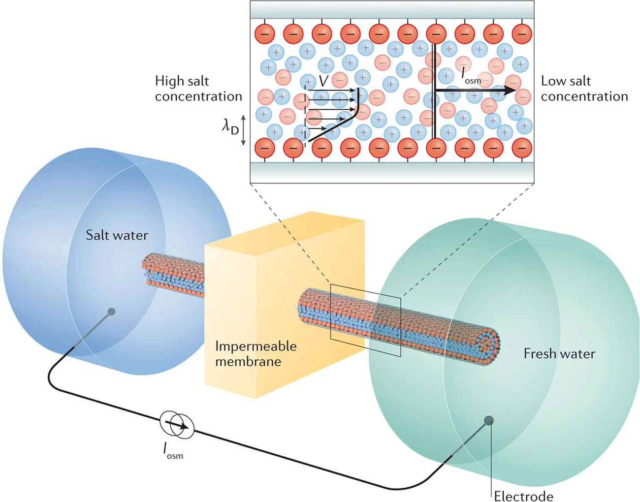 Figure 4 
                  Diffusion–osmotic process for osmotic energy conversion [65].
               