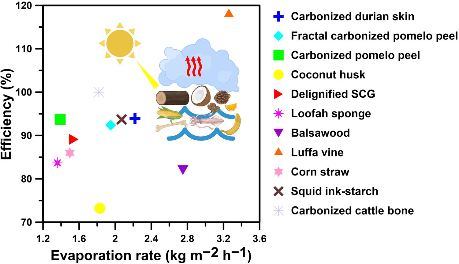 Figure 6 
                  Comparative analysis of evaporation rates and efficiencies for photothermal materials derived from organic waste and bioderived sources. The materials included are as follows: Carbonized durian skin [162], FCPP [163], carbonized pomelo peel [164], coconut husk [136], delignified SCG [165], loofah sponge [166], balsawood [168], luffa vine [171], corn straw [173], squid ink-starch [141], and carbonized cattle bone [107].
               