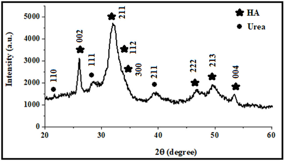 Figure 2 
               XRD of urea–HA hybrid.
            