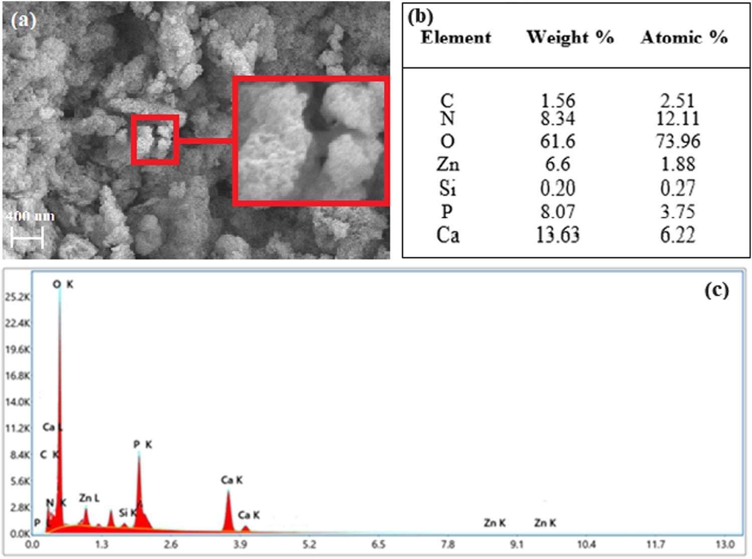 Figure 5 
               Morphological and chemical characterization of urea–HA-hybrid: (a) SEM analysis, (b) elemental composition, and (c) elemental analysis by EDS.
            