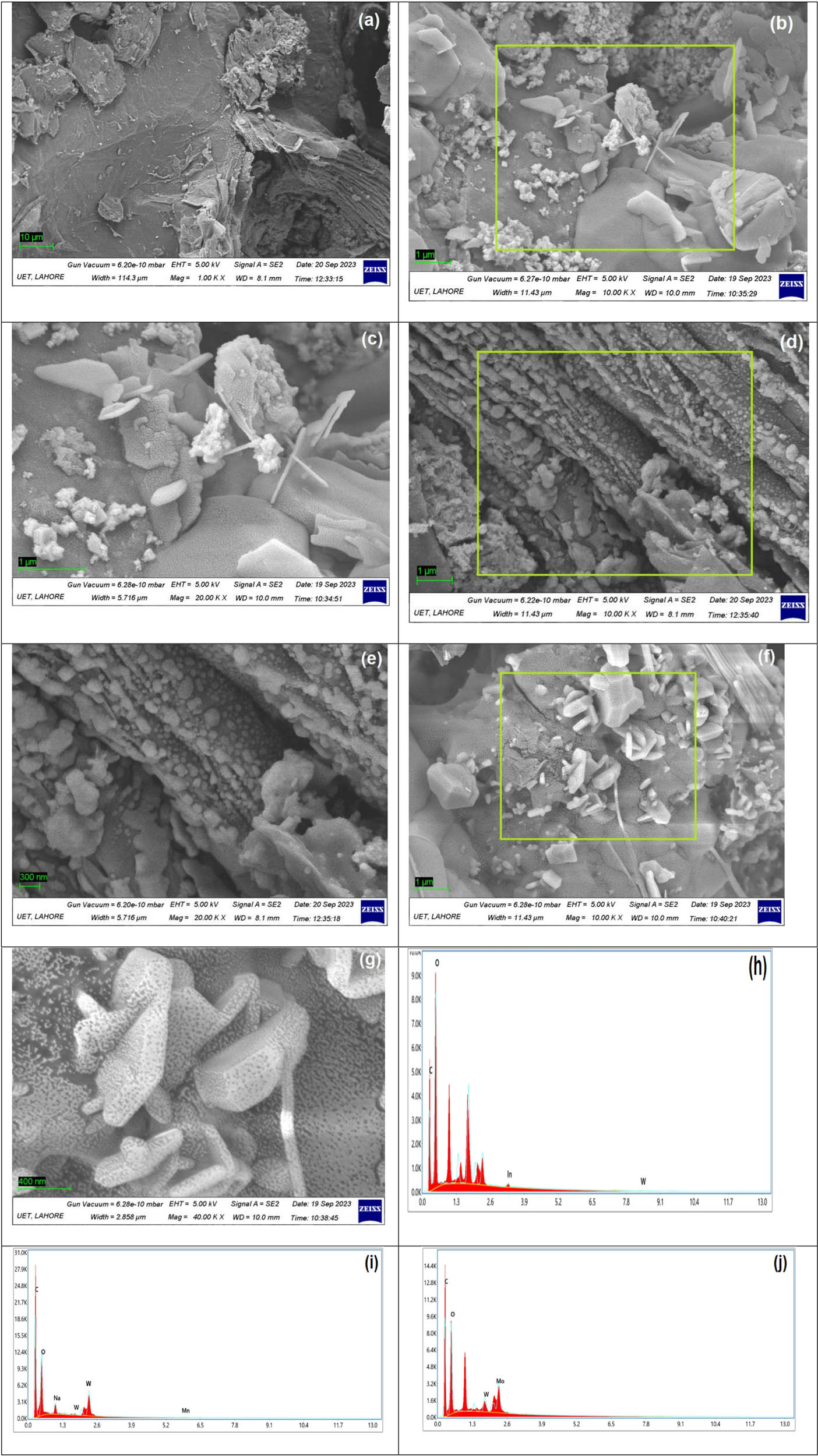 Figure 3
SEM micrographs of rGO (a), In-WO3@rGO (b) and (c), Mn-WO4@rGO (d) and (e), and Mo-WO3@rGO (f) and (g). EDX of In-WO3@rGO (h), Mn-WO4@rGO (i), and Mo-WO3@rGO (j).
