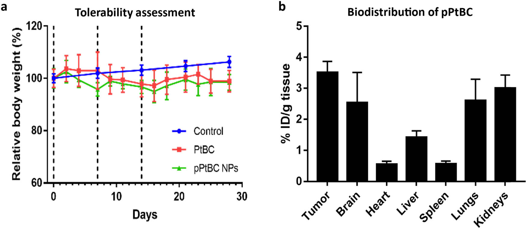 Figure 3
(a) Mice tolerability assessment of mice for PtBC and pPtBC NPs over 4 weeks. Both drugs were administered in incremental doses of 0.9, 1.2–1.5 mg Pt/kg body weight via intranasal weekly, n = 3. The control group, comprising n = 360, had data sourced from Jackson Laboratory (https://www.jax.org/jax-mice-and-services/strain-data-sheet-pages/body-weight-chart-000664). (b) Biodistribution of pPtBC NPs in mice bearing GL261 tumors 1 h after administration. Mice were intranasally administered with pPtBC NPs at a dose of 1.5 mg Pt/kg and sacrificed 1 h post-administration. Dashed lines stand for administration days. Each value is represented as mean ± SE, n = 3.