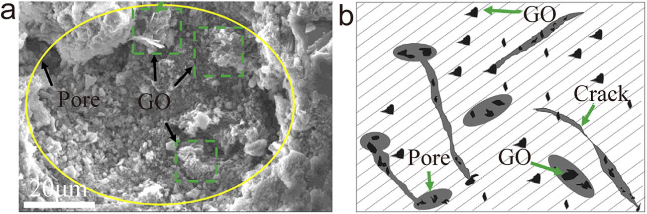 Figure 7 
                     The increased interface of cement matrix [50]. (a) Pore interface of the cement matrix. (b) Simulated image of the GO nanosheet increasing the contact area of its inner surface.
                  